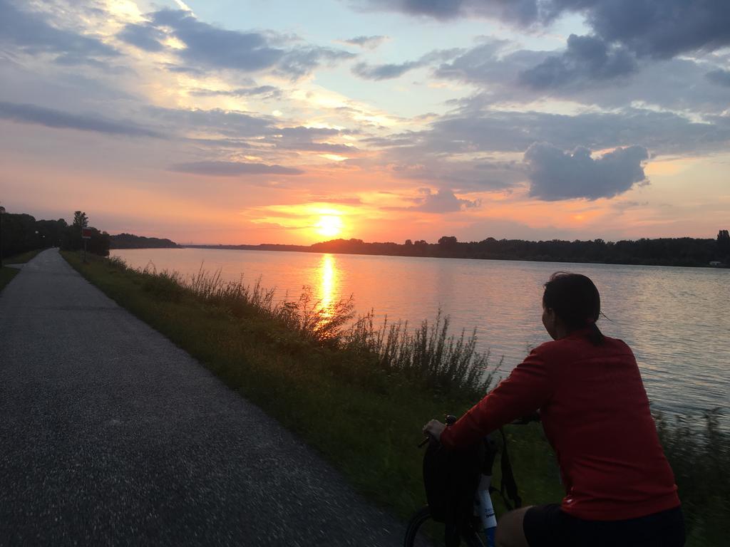 Donaupark Camping Tulln Tulln An Der Donau Eksteriør bilde