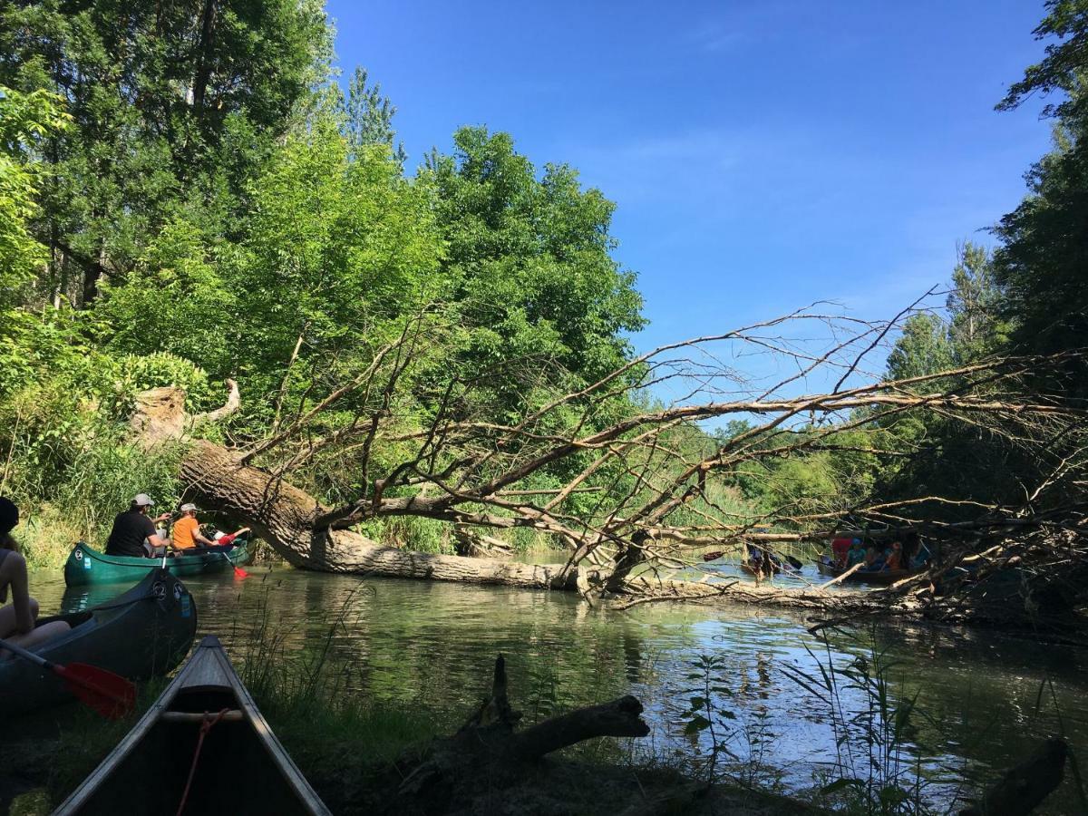 Donaupark Camping Tulln Tulln An Der Donau Eksteriør bilde