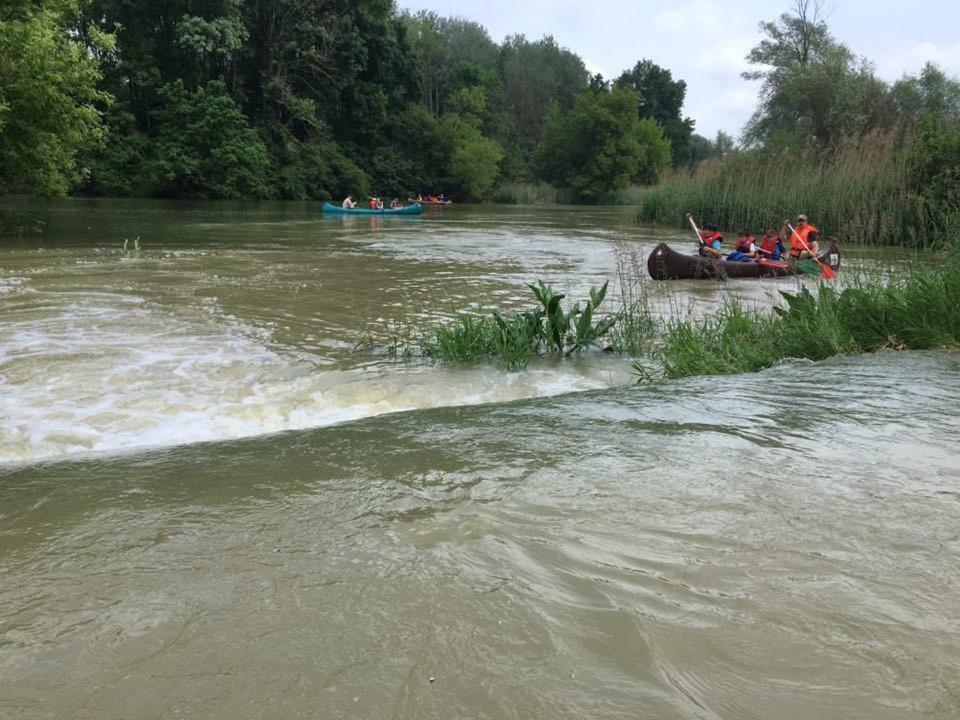 Donaupark Camping Tulln Hotell Tulln An Der Donau Eksteriør bilde